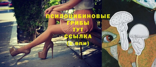 MDMA Premium VHQ Алзамай
