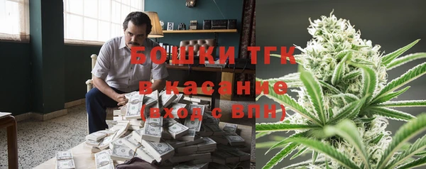 шишки Алексин