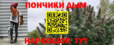 mdpv Заводоуковск