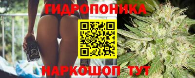 mdpv Заводоуковск