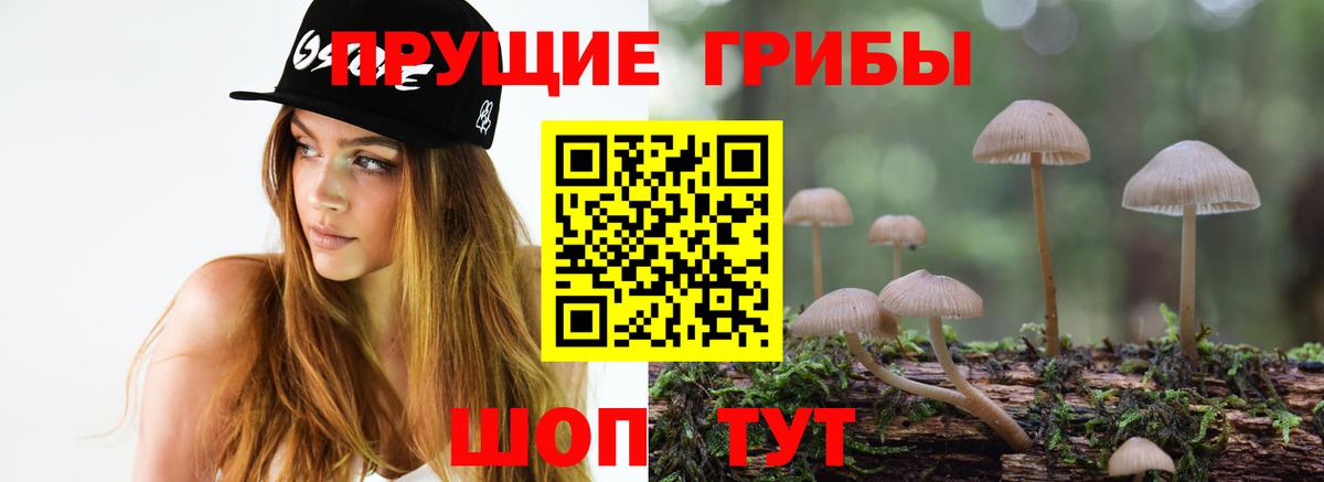Галлюциногенные грибы Cubensis  Вход с VPN  Тольятти 